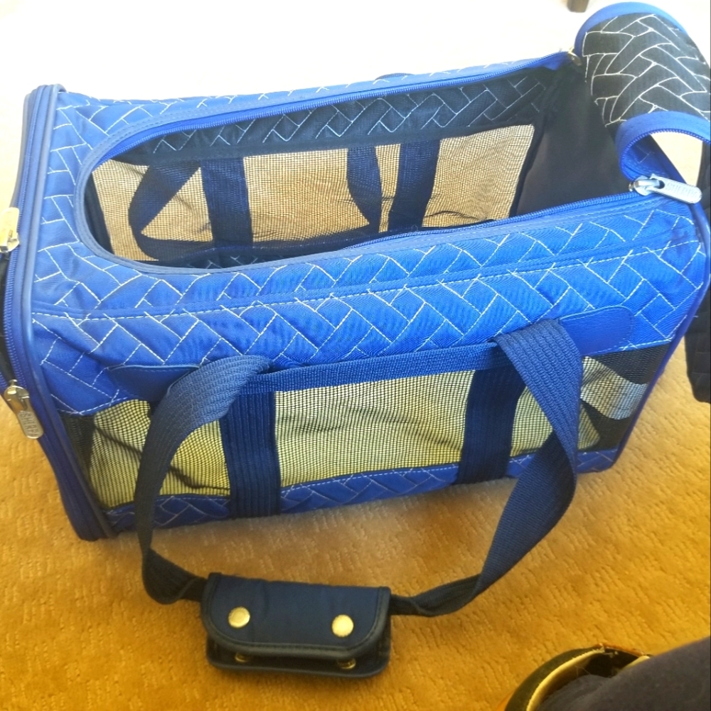17 x 10.5 x 10.5 pet carrier